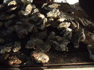 DSCF05391.JPG