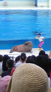 080720_104225.jpg