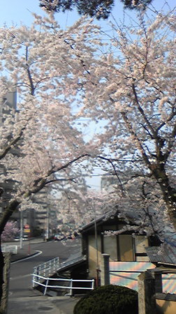 090411_074730.jpg