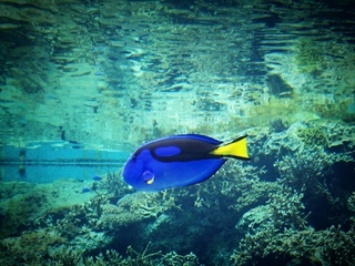 2013-07-10-21-47-37_deco.jpg