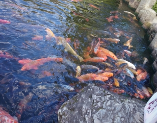 2015-03-15-22-39-14_deco.jpg