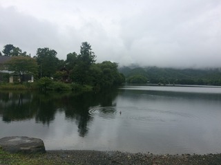 IMG_0525.jpg