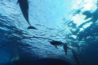 IMG_6959.jpg