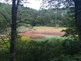 IMG_8911.jpg