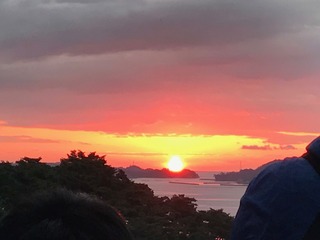 image1.JPG