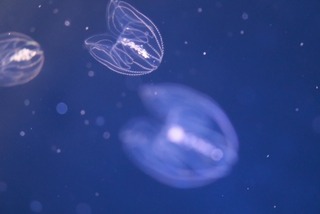 image2.jpeg